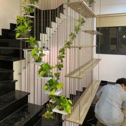 Cầu thang cáp trồng cây với đợt gỗ