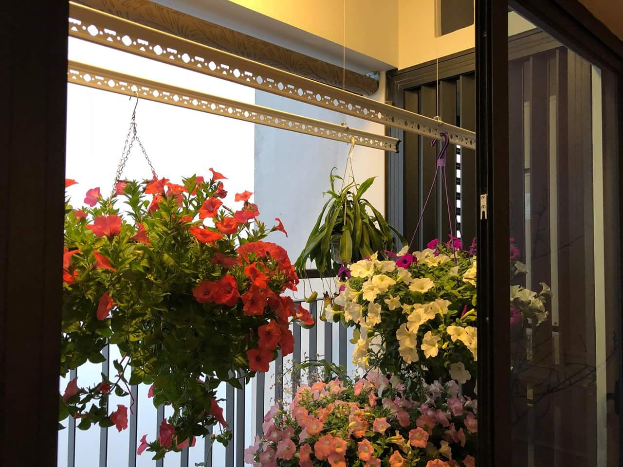 Tính thẩm mỹ cao cấp qua ảnh giàn phơi đồ thông minh đồng cổ trong nhà Tính thẩm mỹ cao cấp qua ảnh giàn phơi đồ thông minh đồng cổ trong nhà